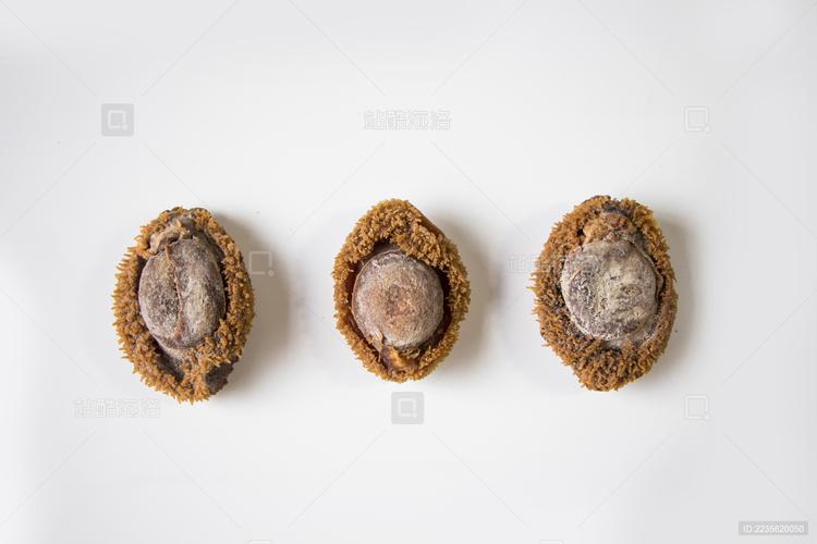 干制海產(chǎn)品鮑魚
